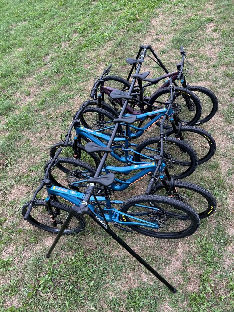 Sechs moderne Fully-Mountainbikes in Reihung auf einer Wiese abgestellt, überwiegend in Blau- und Schwarztönen – bereit für den Verleih oder den Transport mit dem Bike Shuttle Geschriebenstein.