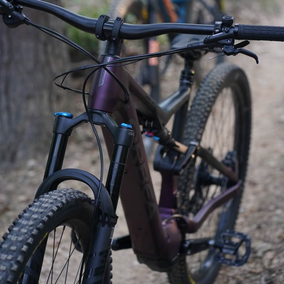 Detailaufnahme eines modernen Mountainbikes im Wald, mit breiten Reifen und Federgabel – steht für die sportlichen Leihräder, ideal für die Trails im Südburgenland.
