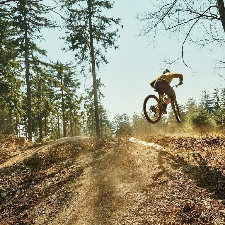 Mountainbiker in gelbem Outfit springt über eine Kuppe auf einem sonnigen Wald-Trail, mit aufgewirbeltem Staub und hoher Dynamik – steht für Action und Fahrspaß auf den Trails am Geschriebenstein.